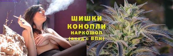 стаф Волоколамск